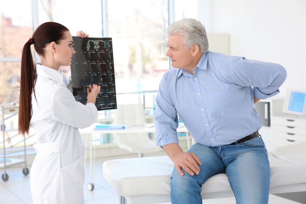 The bone cartilage of the thoracic vertebrae